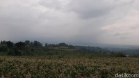 1000 hektare lahan milik MNC Lido City yang berada di wilayah Kabupaten Bogor yang dijadikan kawasan ekonomi khusus (KEK) pariwisata.  