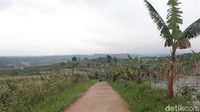 Sebagian besar lahan milik MNC yang berada di wilayah Kabupaten Bogor berupa perbukitan dan lahan produktif.  