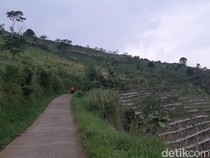 KEK Lido Disegel Pemerintah, Pihak Pengembang Kaget!