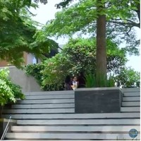 Tak cuma bangunan, halamannya pun tak kalah luas. Pepohonan rindang dan tumbuhan hijau membuat hunian mewah ini terasa asri. (Foto: YouTube/Marten and Friends)