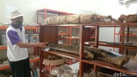 Kata Jamin, ada ribuan fosil hewan purbakala yang disimpan di Museum Purbakala Patiayam. Dia mencatat ada 8.000 fragmen fosil yang disimpan di museum. Jumlah tersebut belum lagi adanya penemuan fosil terbaru oleh warga setempat. 
