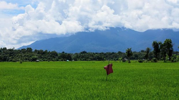 Taman Nasional Gunung Palung Taman Nasional Gunung Palung