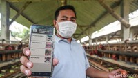 Unggul, begitu ia biasa dipanggil, menunjukan aplikasi digital Pasar Mikro yang digagas BRI. Aplikasi ini membantu  mengelola data keuangan, penjualan telur hingga pembelian barang peternak yang tadinya manual menjadi format digital yang user friendly. 