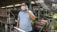 Unggul memodernisasi teknik pemasaran menjadi lebih efektif. Sebelumnya, pembukuan dan pemasaran hanya berlangsung konvensional.
