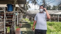 Tiap hari, Unggul melayani transaksi berton-ton telur yang disalurkan ke berbagai daerah di Jawa maupun luar Jawa. Pengalaman ini tidak akan terjadi seandainya ia masih menjadi pegawai di Jakarta.