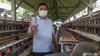 Unggul menyatakan tidak menyesal meninggalkan karir di Jakarta. Ia mencintai apa yang dilakukan saat ini.
