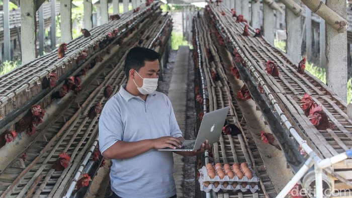 Mapan dan mempunyai karir bagus di Jakarta tidak menyurutkan niat untuk membangun desa. Ini salah satu contohnya.