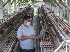 Unggul, Tinggalkan Jakarta untuk Membangun Desa
