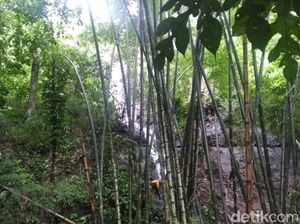 Bersihkan Sampah Gorong-gorong, Warga Prigen Jatuh ke Jurang Sedalam 80 Meter