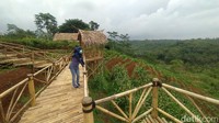 Agro Edu Wisata Garuda Mupuk cocok untuk menenangkan pikiran dengan suasana lahan perkebunan yang menyejukkan.