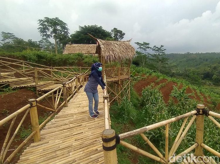 Potret Agrowisata di Ciamis: Garuda Mupuk