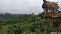 Sejumlah spot foto pun tersedia di Agro Edu Wisata Garuda Mupuk sebagai salah satu fasilitas kekinian, mulai dari rumah pohon, saung bambu dan lainnya di atas terasering lahan pertanian.