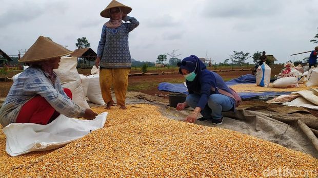 Agro Edu Wisata Garuda Mupuk Ciamis