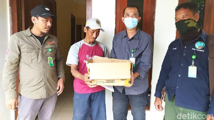Anak Kucing Hutan yang Ditemukan Warga Lamongan Dirawat BBKSDA Jatim