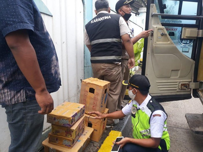 Burung selundupan dari Sumatera ke Merak (Dok Istimewa)