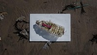 Sampah juga terlihat di kawasan Pantai Double Six, Bali. Beragam sampah yang ditemukan di area pantai Pulau Dewata tersebut didominasi dengan sampah plastik.