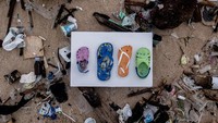 Dibuangnya sampah ke laut ini pun memberi permasalahan baru terkait dengan ekosistem di bawah laut.