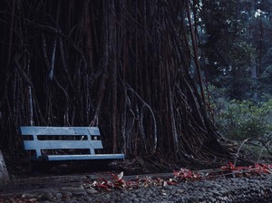 4 Wisata Murah di Bogor, Seharian Tidak Sampai Rp 200 Ribu!