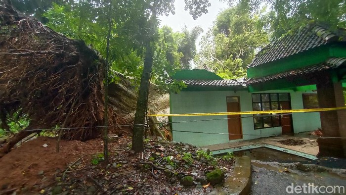 Pohon tumbang di petilasan Ratu Kalinyamat di Desa Tulakan, Kecamatan Donorojo, Jepara, Kamis (18/2/2021).