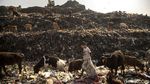 Potret Pemulung Cilik dari Tanah India