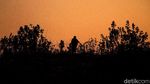 Potret Pemulung Cilik dari Tanah India