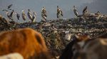 Potret Pemulung Cilik dari Tanah India