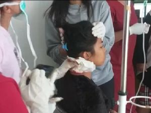 Pura-pura Belanja, KKB Bacok Ibu Pemilik Kios di Puncak Papua