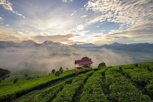 tips trik foto gunung