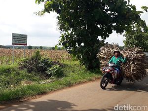 Harga Tanah Sekitar Kampung Miliarder Tuban Jadi di Atas Pasaran