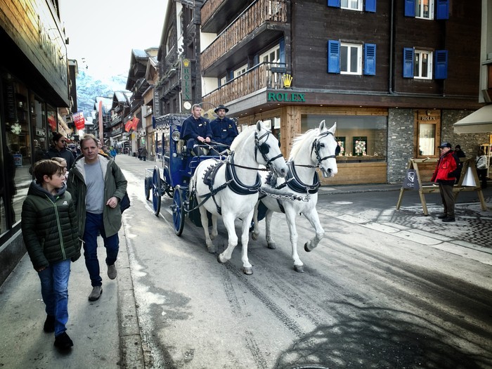 Zermett Swiss