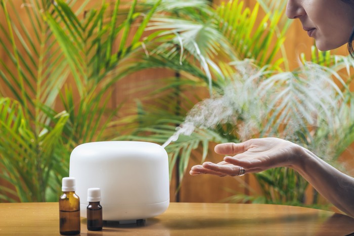 Air Diffuser Woman Enjoying Aroma Therapy Steam Scent from Home Essential Oil Diffuser or Air Humidifier. Ultrasonic technology, increasing air humidity indoors for more comfortable living conditions