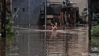 Untuk diketahui, pada 9 Februari lalu, Anies sempat mengunjungi kawasan bantaran Kali Sunter di Cipinang Melayu, Jakarta Timur. Kawasan tersebut saat itu tidak terendam banjir. Anies pun kala itu bersyukur kawasan RW 04 Cipinang Melayu tak lagi banjir.