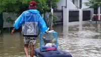 Warga menjadikan kasur angin untuk mengevakuasi hewan peliharaan.