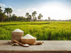 Indeks Ketahanan Pangan RI Peringkat 5 di ASEAN