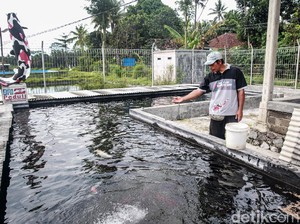 KKP Siapkan Peta Pengembangan Kampung Ikan untuk Ketahanan Pangan