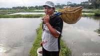 Menurut cerita asal mula ikan koi dimulai sejak bibit ikan koi yang dibawa oleh istri dari Soekarno yang berasal dari Jepang, Naoko Nemoto atau yang lebih dikenal dengan nama Ratna Sari Dewi.