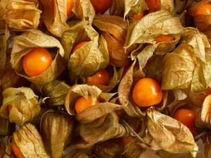 7 Buah Langka di Indonesia, Ada Dewandaru dan Ciplukan