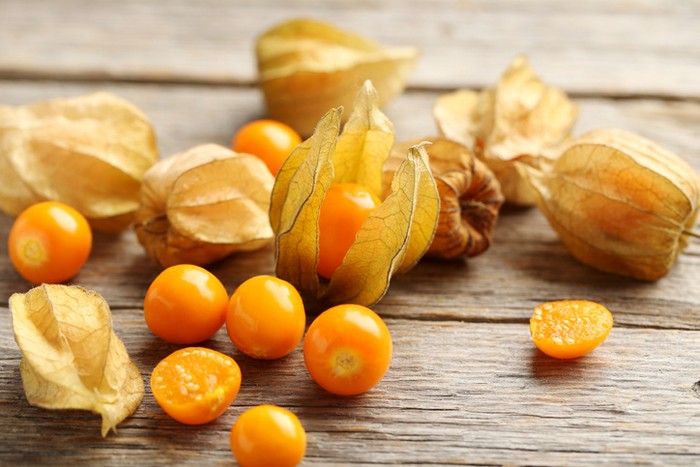 Fakta buah ciplukan 5 Fakta Ciplukan, Buah Liar yang Harganya Mahal