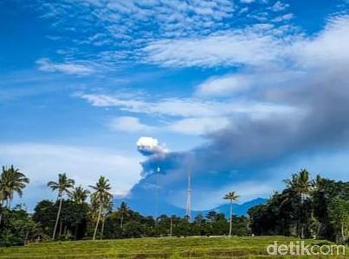 Gunung Raung masih erupsi hingga saat ini. Abu vulkanik masih menyembur dari puncak gunung, meski intensitasnya menurun.