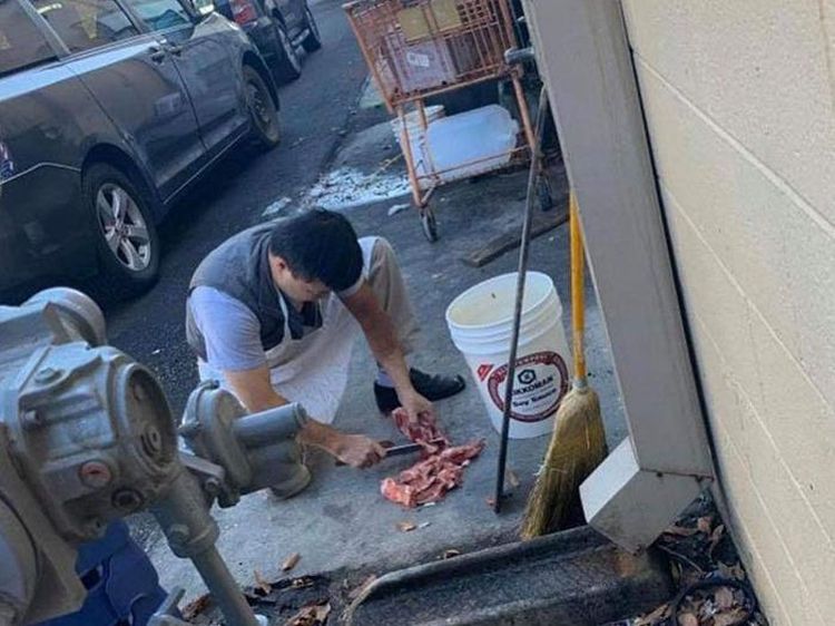 Kamu Akan Mual Melihat Foto-foto Ini