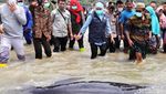 Khofifah Cek Puluhan Paus Terdampar di Pantai Bangkalan