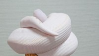 Guys, ini bukan es krim ya. Coba tebak, panjang, bersisik dan mendesis. Hewan apakah itu?
