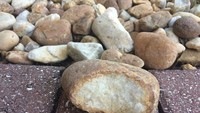 Ini bukan roti, ini adalah batu yang mirip dengan roti. Jangan dimakan!