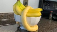 Hati-hati, jangan sampai salah ambil ya. Bedakan mana pisang mana ular.