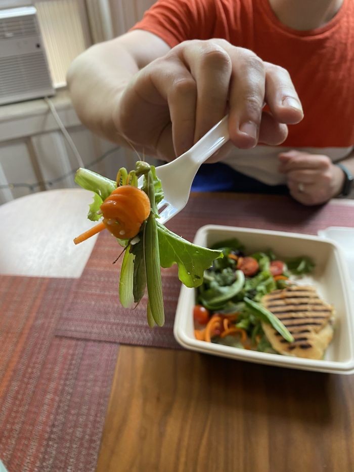 Makanan yang Cantik Difoto, tapi Tidak Bisa Dimakan Makanan yang Cantik Difoto, tapi Tidak Bisa Dimakan