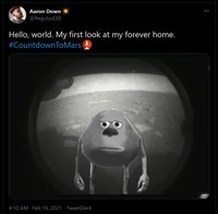 Meme Perseverance