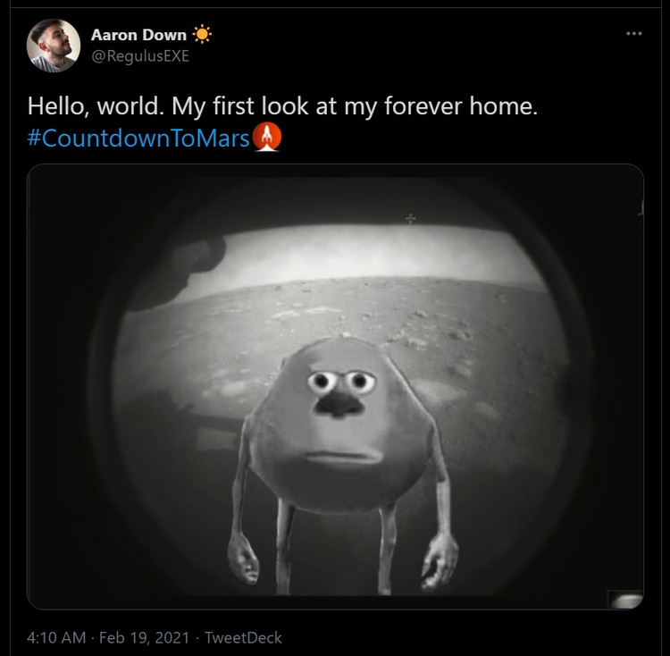 Meme Perseverance