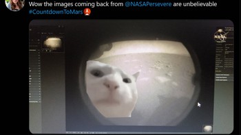 Meme vibe cat ikut joged-joged sambil mendengarkan lagu di Mars. Perlu diketahui, Perseverance membawa instrumen khusus yang bisa merekam suara lingkungan Mars untuk pertama kalinya. Foto: Screenshot/Twitter