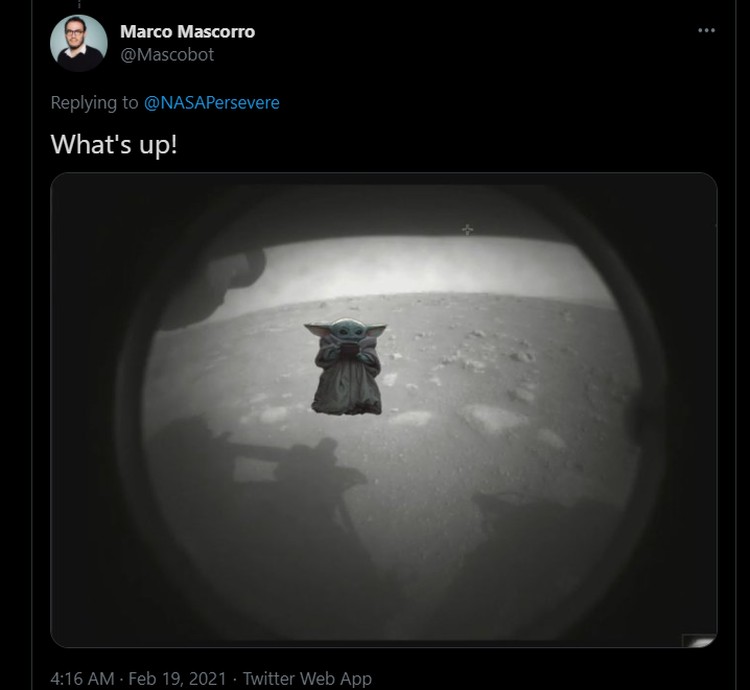 Meme Perseverance Meme Perseverance