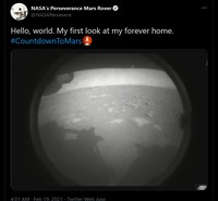 Meme Perseverance